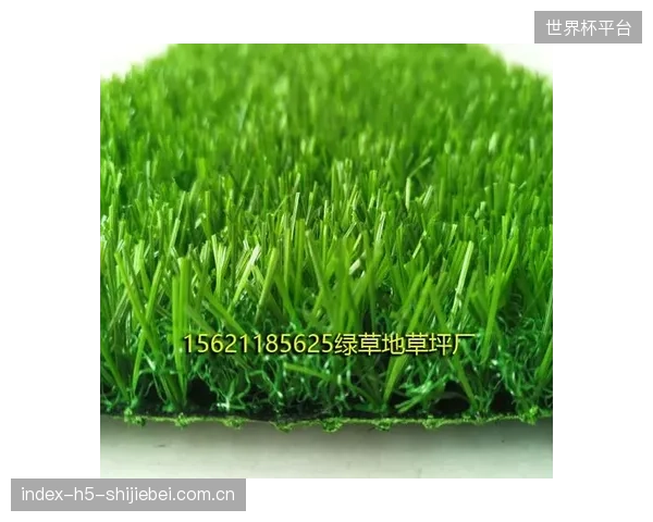 所谓的自动化控制系统，在多大程度上能够真正理解草坪的生态需求，而非执行僵化的预设程序？